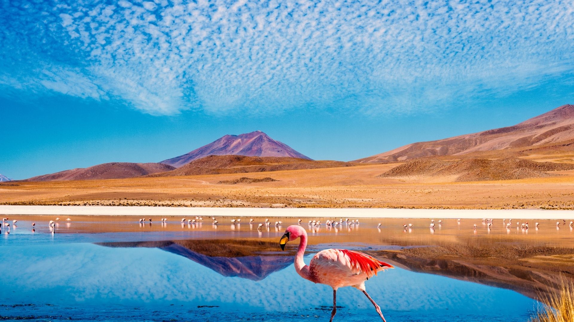 Bolivia Bolivia vacation