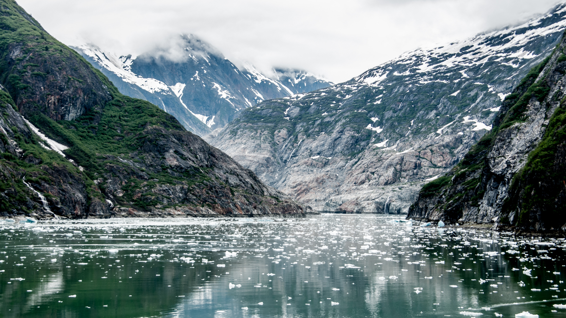Tracy Arm Tracy Arm