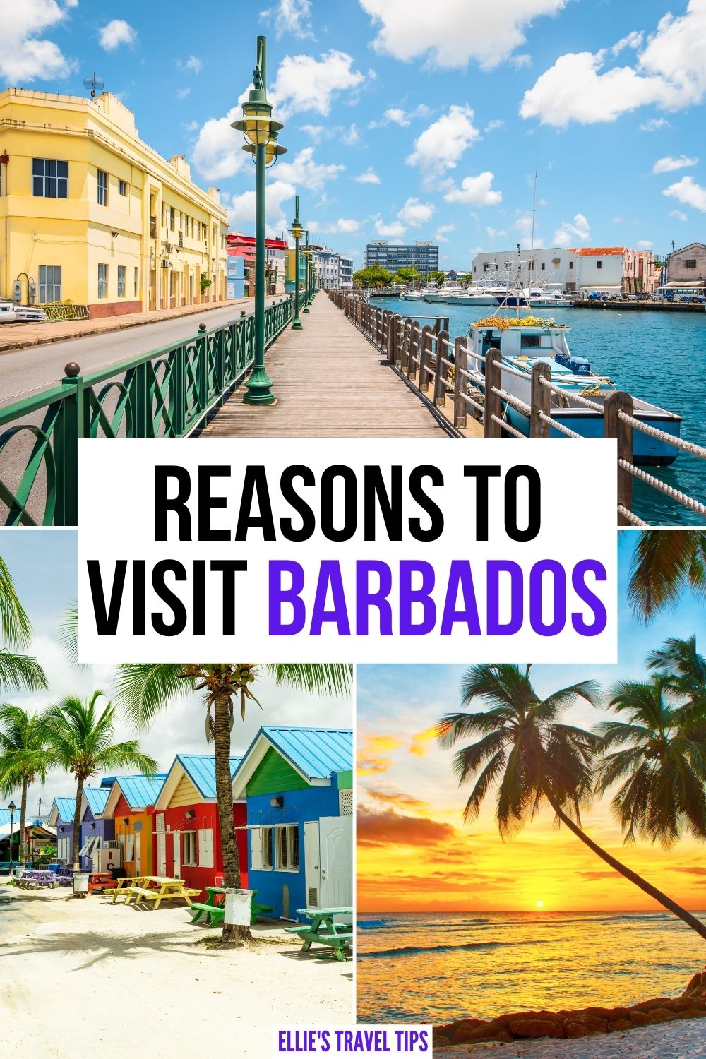barbados what to do in Barbados
