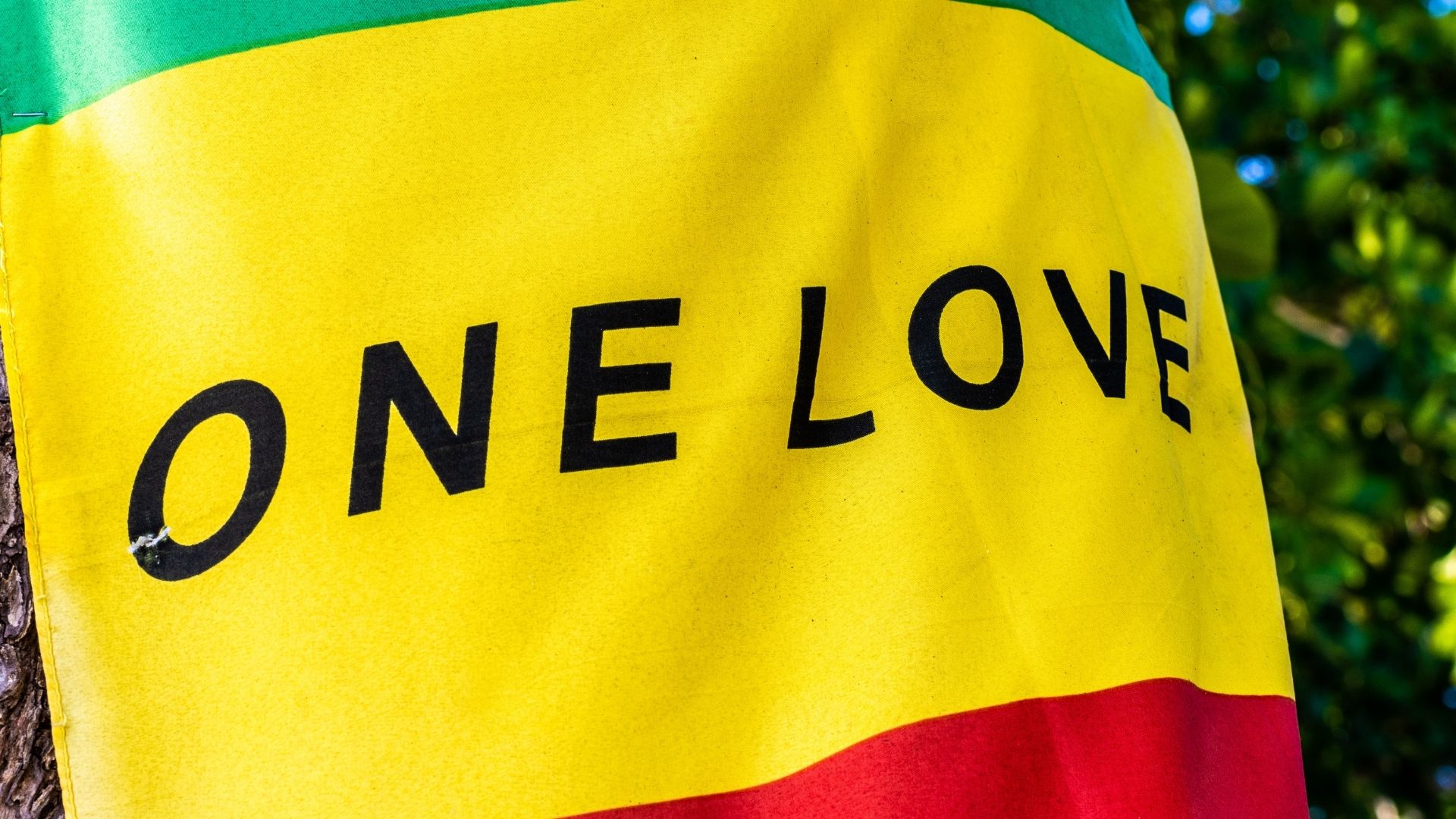 bob marley Bob Marley Museum