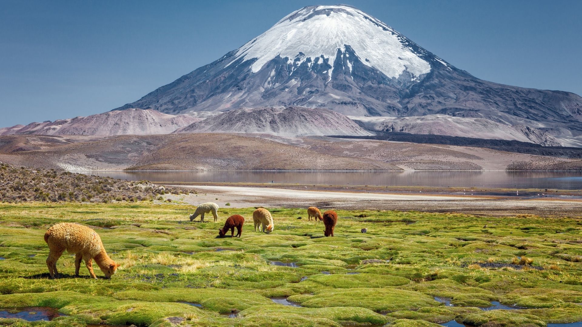 chile Chile vacation destinations in South America