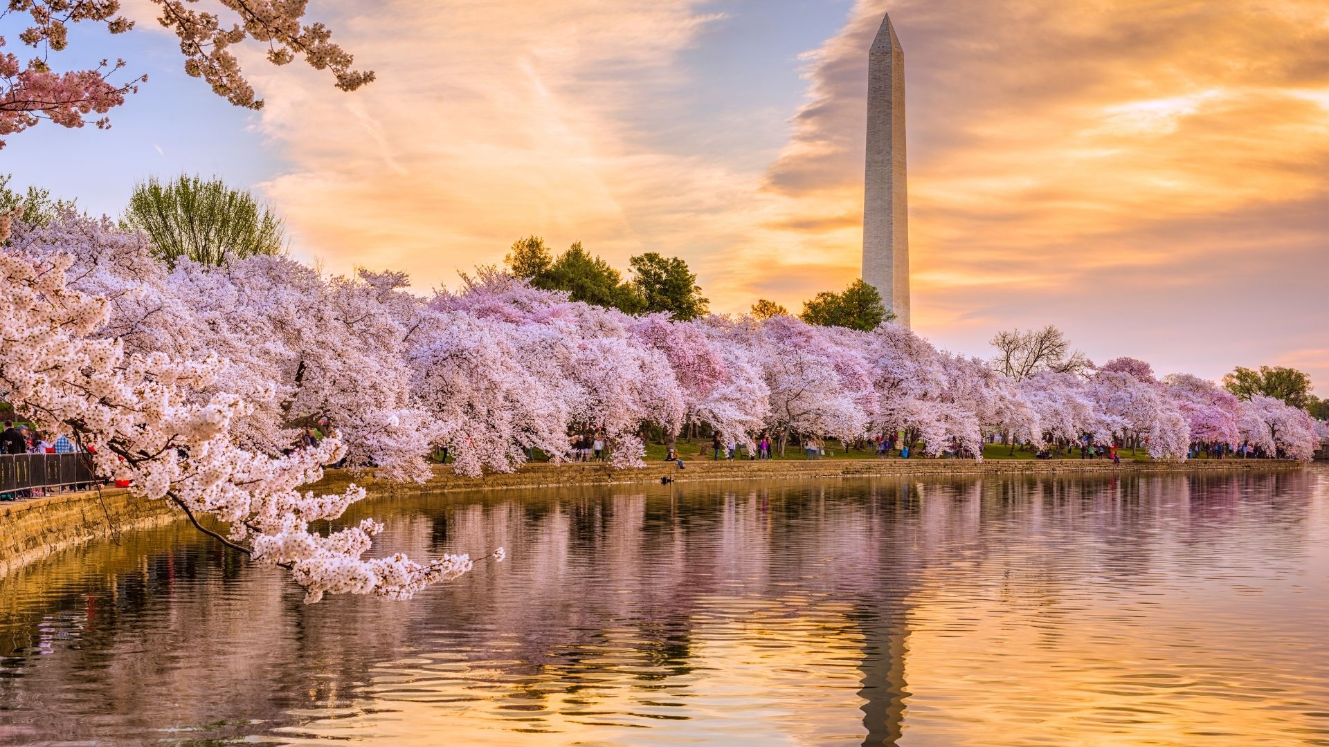 dc dc east coast