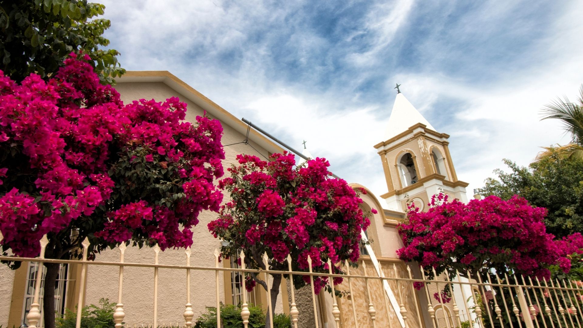 deans (1) los cabos