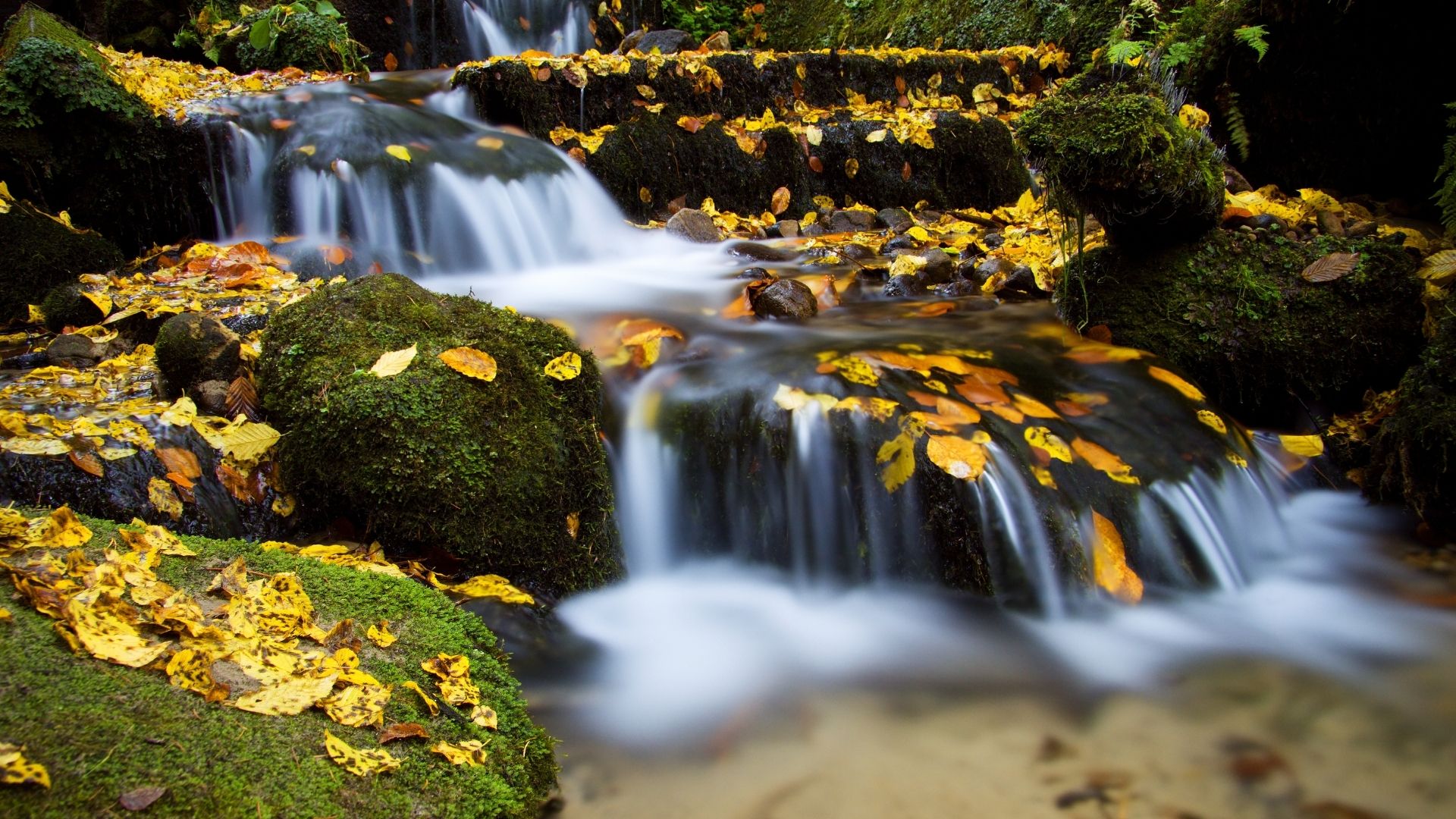 deans (6) saxon falls