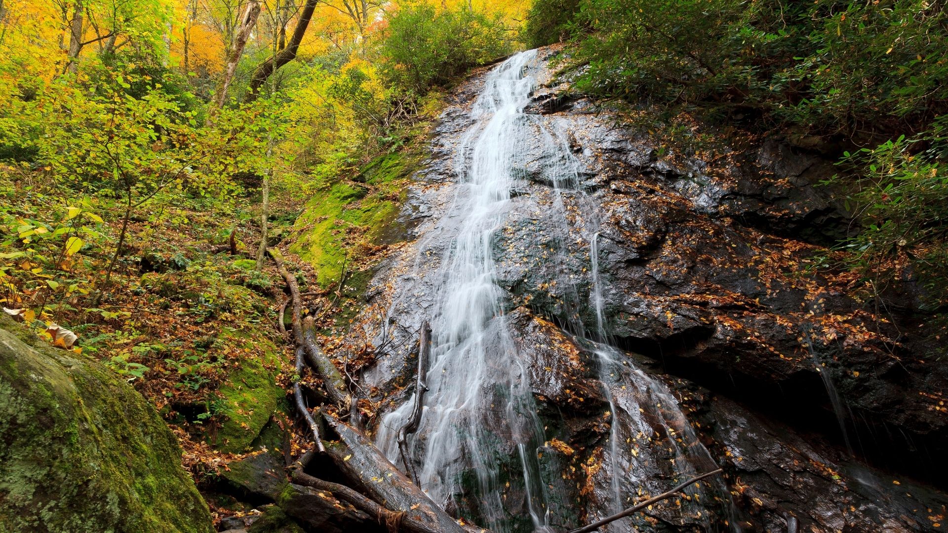 deans (8) morgan falls