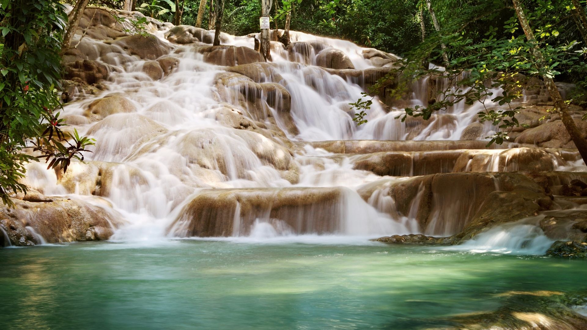 dunns Dunns River and Falls attractions in Jamaica