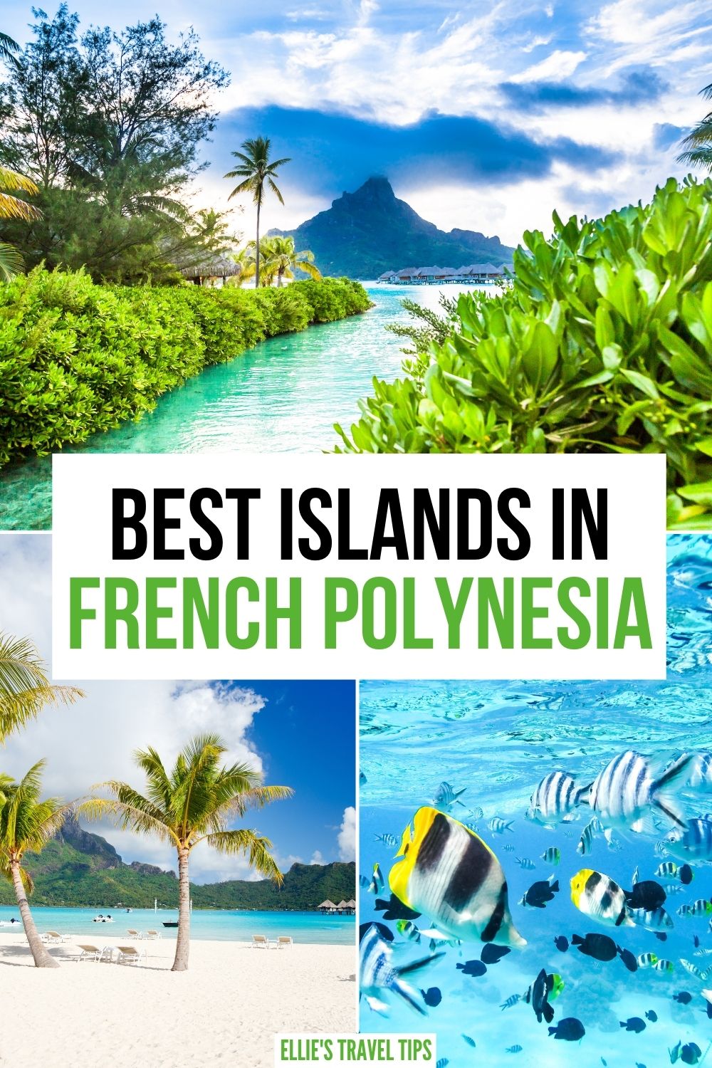 french polynesia islands in french polynesia