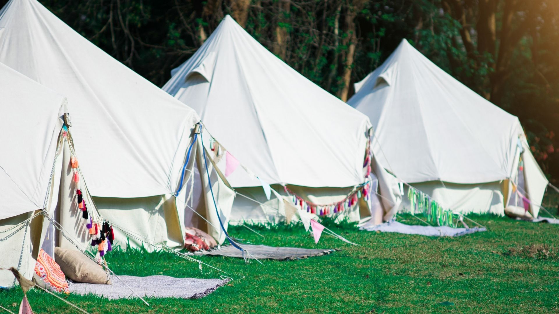glamping pods (1) glamping pod
