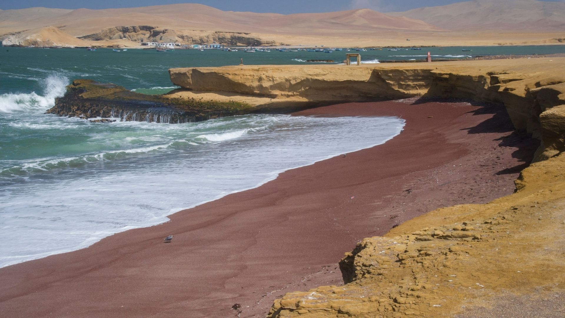 paracas (1) Things to do in Paracas