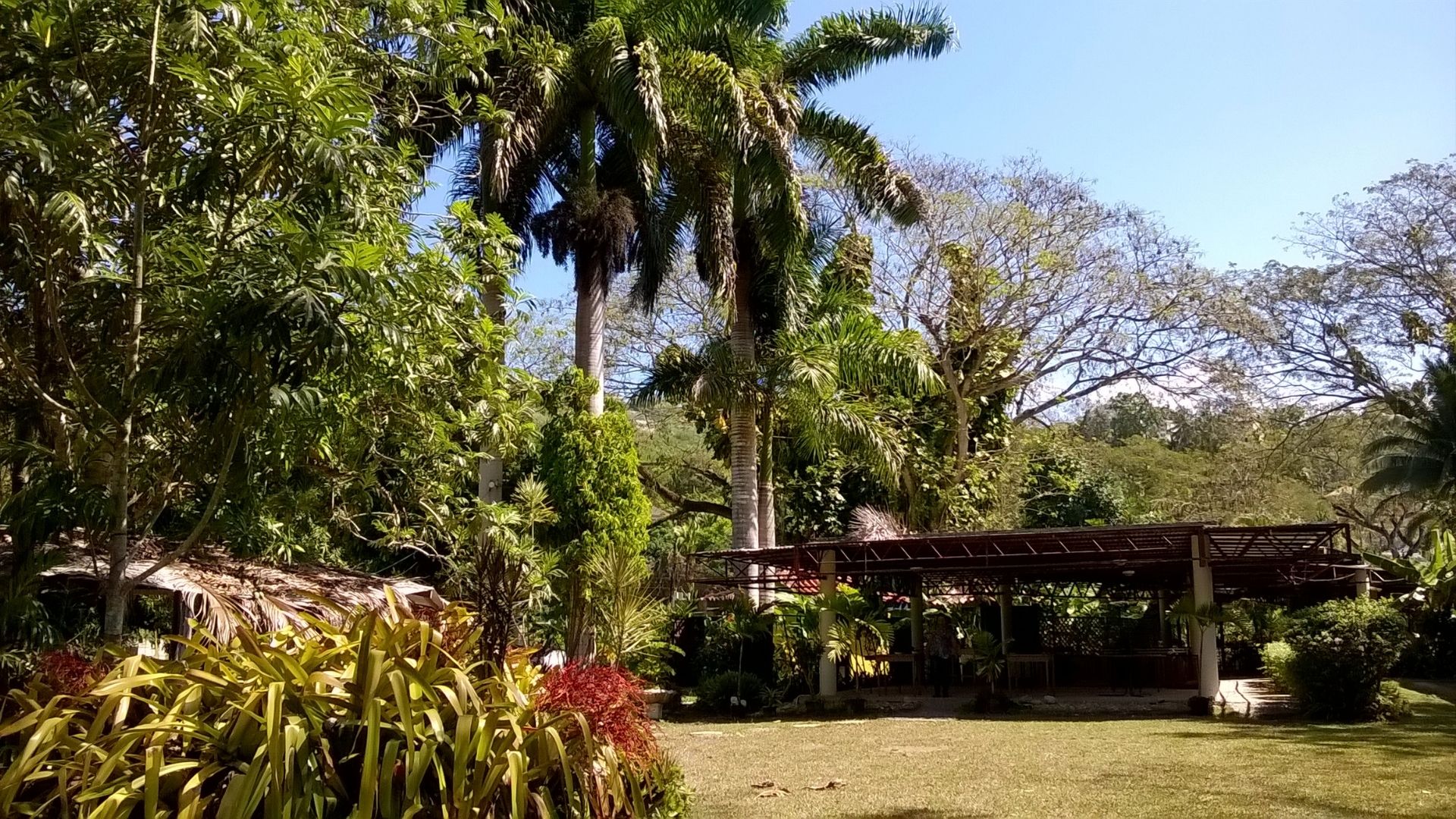 rastafari Rastafari attractions in Jamaica