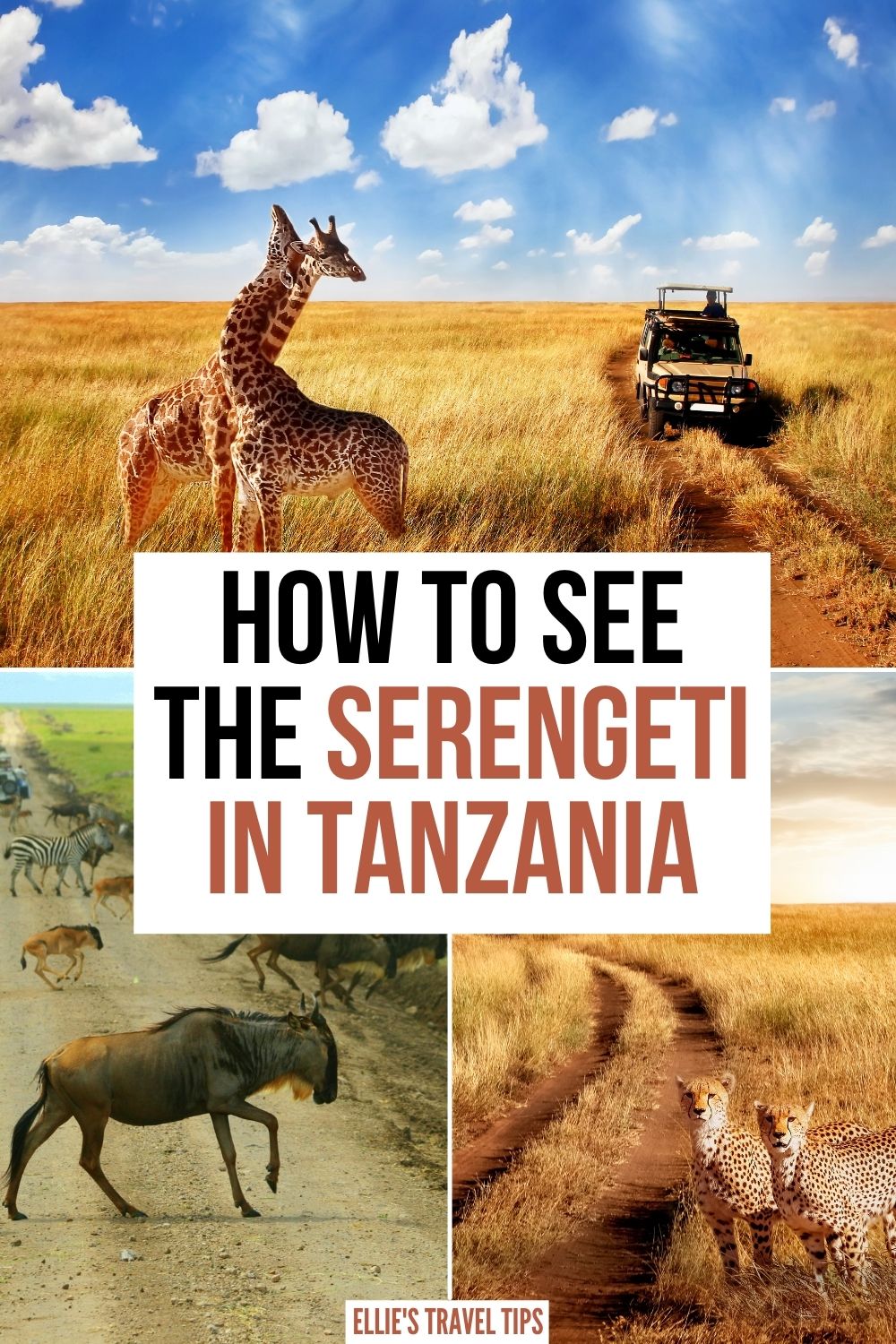 serengeti in tanzania Serengeti in Tanzania
