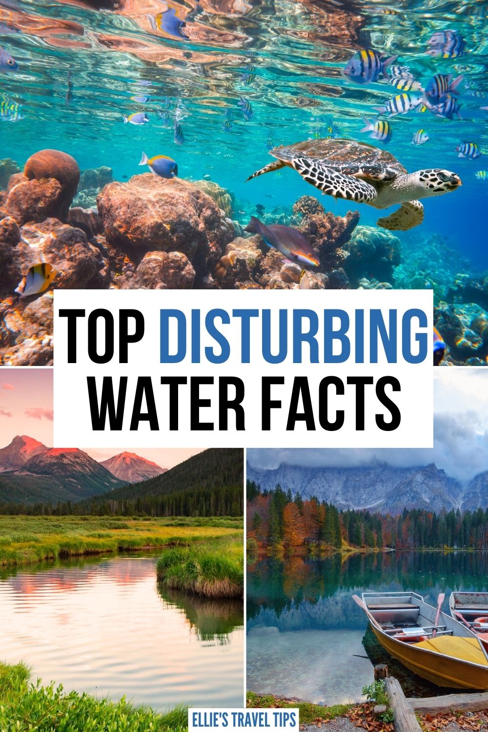 water facts disturbing water facts